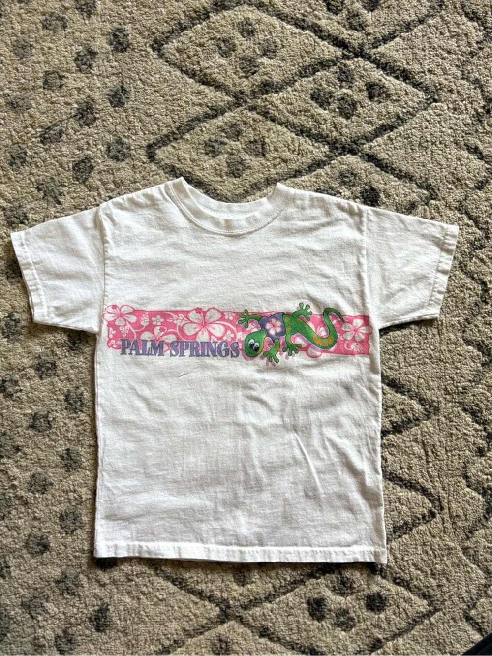 Palm Springs tourist tshirt
